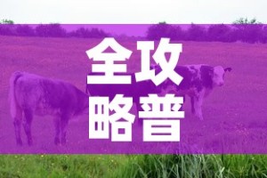 全攻略普及“开牛牛群怎么买房卡”详细房卡使用教程