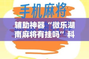 辅助神器“微乐湖南麻将有挂吗”科技辅助神器手机版