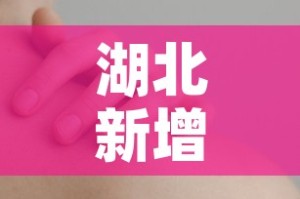湖北新增本土无症状3例—（湖北新增无症状感染者9例,现有确诊病例6例）