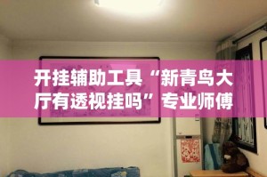 开挂辅助工具“新青鸟大厅有透视挂吗”专业师傅带你一起了解(确实有挂