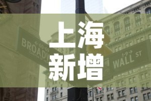 上海新增2地中风险地区—（上海新增加中风险地区）