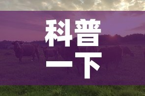 科普一下“微信牛牛群斗牛群”房卡详细充值