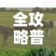 给大家讲解“微信牛牛房卡充值购买”详细房卡怎么购买教程