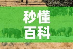 秒懂百科“微信房卡斗牛牛有挂吗”详细房卡教程