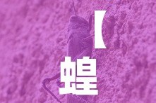 【蝗虫最新疫情路径是什么,蝗虫最新疫情路径是什么样的】