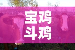 科普一下“微信开炸 金花群房卡上哪里充”详细房卡使用教程