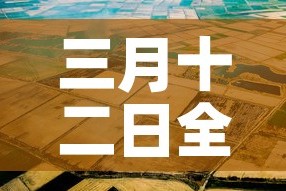新河限行范围—（新河限号区域）