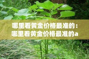 分享实测“牛牛房卡链接购买”详细房卡怎么购买教程