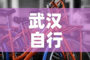 武汉自行车租金价格表—（武汉自行车租金价格表大全）