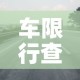 车限行查询›限行信息查询