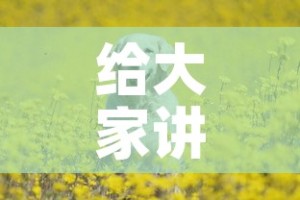 房卡必备教程“海贝之城拼三张房间卡”详细房卡使用教程