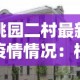 国内普通包裹查询›普通包裹资费查询