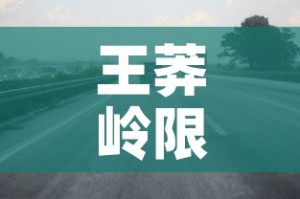 王莽岭限行—（王莽岭景区关闭）