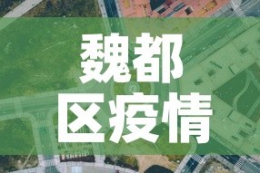 魏都区疫情防控政策最新：魏都区疫情防控指挥部
