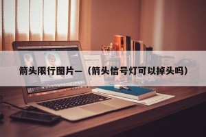 箭头限行图片—（箭头信号灯可以掉头吗）