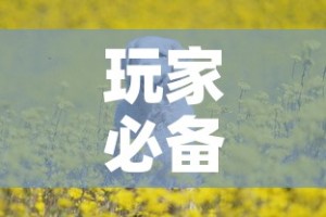 玩家必备教程“斗牛房卡牛牛房卡”购买房卡介绍