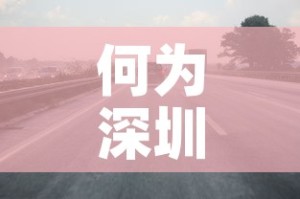 何为深圳限行›深圳限行的意思