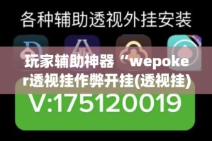 玩家辅助神器“wepoker透视挂作弊开挂(透视挂)”(作弊)辅助透视教程