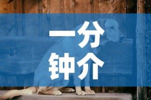 一分钟介绍使用“斗牛链接房卡怎么弄”购买房卡介绍