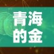 房卡必备教程“炸 金花的房卡在哪里买的”详细房卡教程