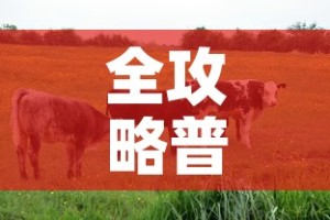 全攻略普及“微信牛牛群房卡”房卡详细充值