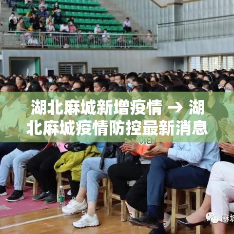 一分钟实测分享“微信牛牛链接房卡哪里买的”轻松获取房卡全渠道