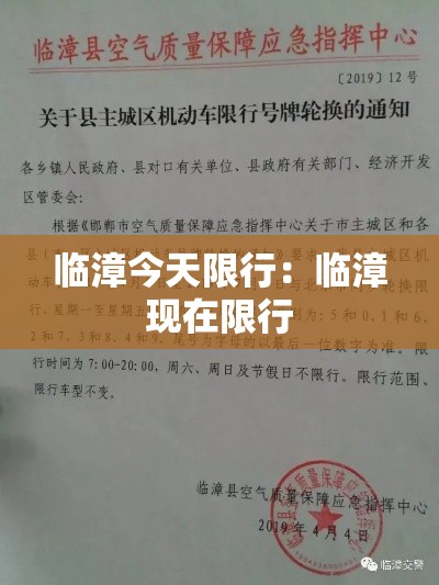 关于qq麻将看牌器的信息