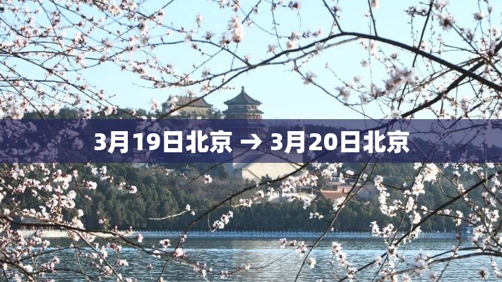 广东疫情三月十一日新增：31日广东新增