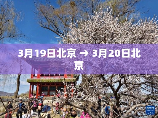 一分钟了解“微信金花链接房卡	”详细房卡使用教程