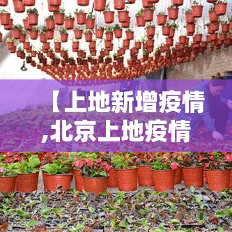 【上地新增疫情,北京上地疫情】