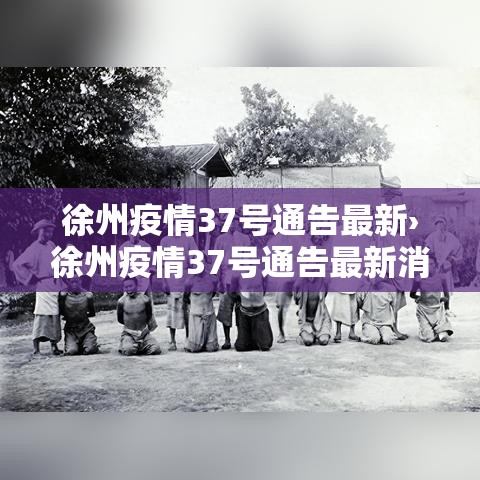 浙江丽水新增疫情最新消：浙江丽水最新肺炎疫情