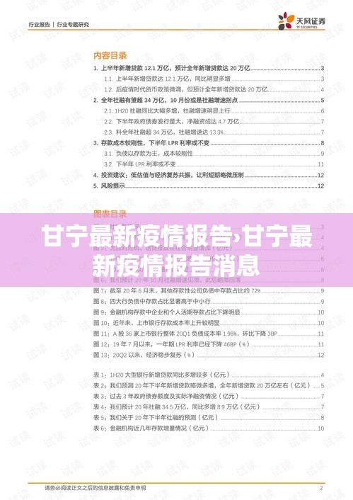 甘宁最新疫情报告›甘宁最新疫情报告消息