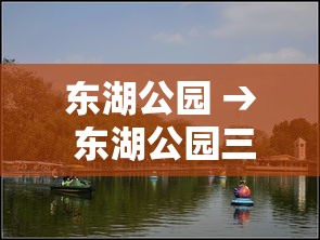 今日金价老凤祥最新金价—（今日老凤祥的金价）