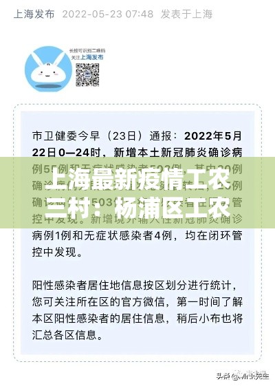 上海最新疫情工农三村：杨浦区工农三村是什么街道