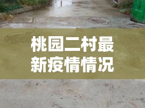 桃园二村最新疫情情况：桃园村二期