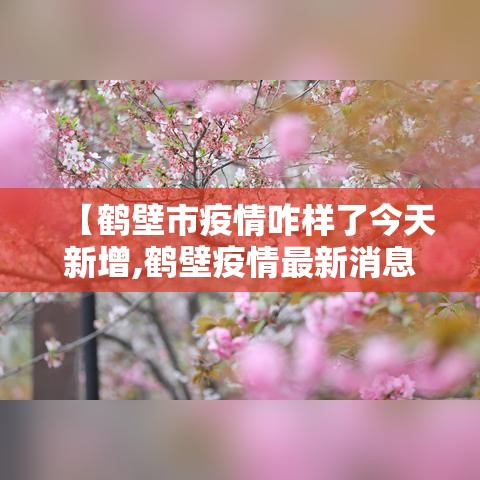 【鹤壁市疫情咋样了今天新增,鹤壁疫情最新消息新增小区】