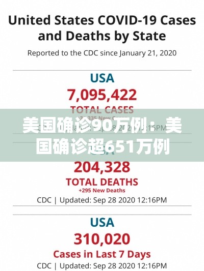 美国确诊90万例：美国确诊超651万例