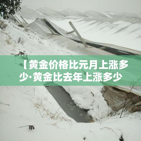 【黄金价格比元月上涨多少·黄金比去年上涨多少钱一克】