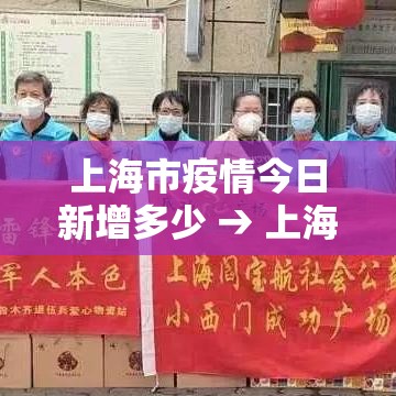 上海市疫情今日新增多少 → 上海市疫情数据