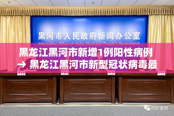 黑龙江黑河市新增1例阳性病例 → 黑龙江黑河市新型冠状病毒最新消息