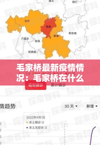 毛家桥最新疫情情况：毛家桥在什么位置