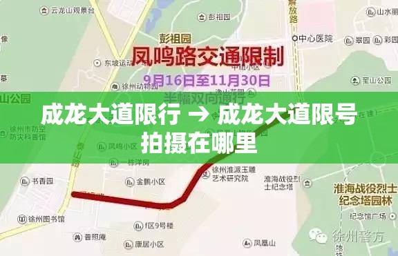 成龙大道限行 → 成龙大道限号拍摄在哪里