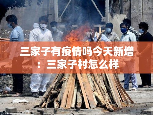三家子有疫情吗今天新增：三家子村怎么样