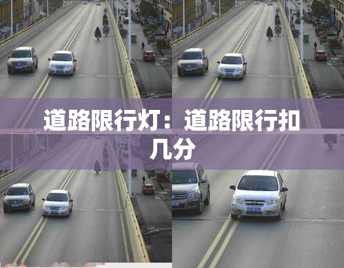 道路限行灯：道路限行扣几分
