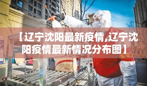 【黑龙江新增9例本土确诊·黑龙江新增90例本土病例】