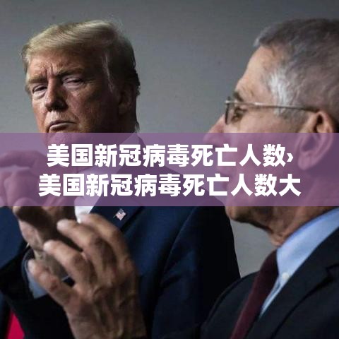 玩家攻略“哪里买微信炸 金花房卡	”详细房卡教程