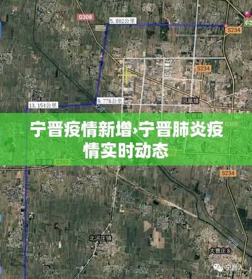 宁晋疫情新增›宁晋肺炎疫情实时动态