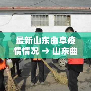 【印度和日本疫情最新通报,印度日增新冠病例】