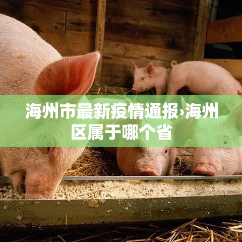 哈尔滨疫情最新情况›哈尔滨疫情最新情况 哈尔滨疫情最新情况›哈尔滨疫情最新情况