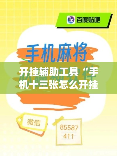 开挂辅助工具“手机十三张怎么开挂	”专业师傅带你一起了解(确实有挂
